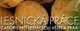 Lesnick� pr�ce