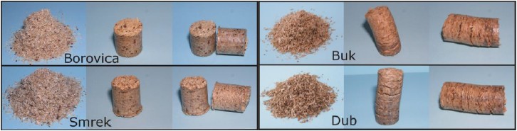 Výlisky z rôznych druhov materiálov, ktoré boli použité pri experimentoch (borovica, smrek, buk, dub)