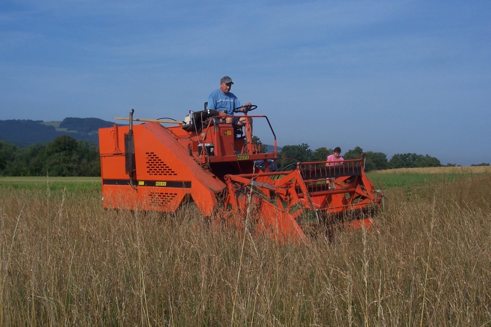 Sklizeň energetických trav v poslední dekádě července 2012