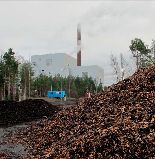 Trh s biomasou prochází velkými změnami