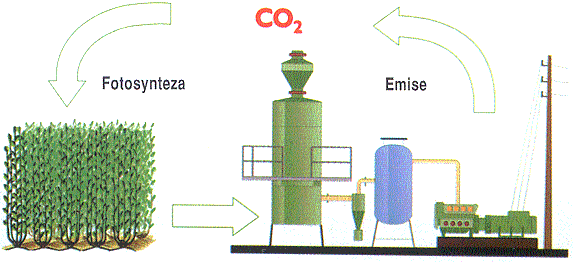 Dopady na životní prostředí: Koloběh CO2 a fotosyntéza