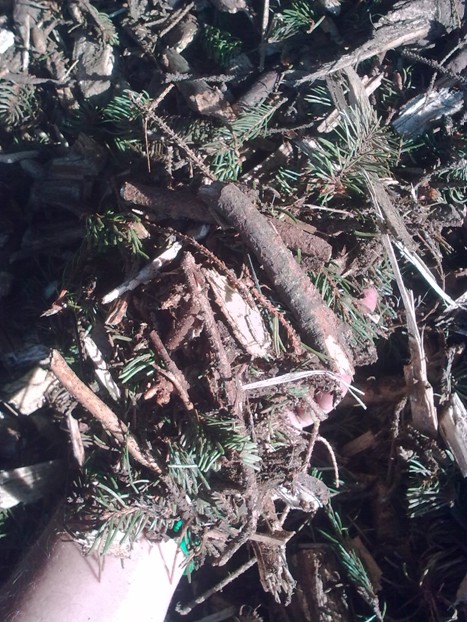 Přimíchávaná biomasa: lesní štěpka