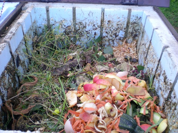 Obyvatelé mohou do kompostérů bezplatně odkládat zbytky ovoce  a zeleniny, zbytky jídel z domácností, pečivo, trávu apod.