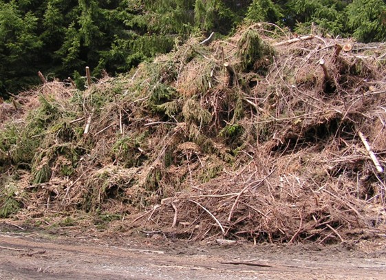 Každá biomasa je využitelná pro energetické účely 