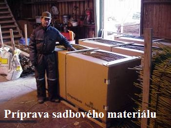 Příprava sadbového materiálu