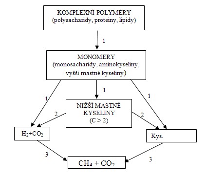 Schéma anaerobního rozkladu za tvorby bioplynu