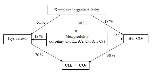 Schéma toku uhlíku za rovnovážného stavu procesu, kdy metanogeny jsou v plné aktivitě