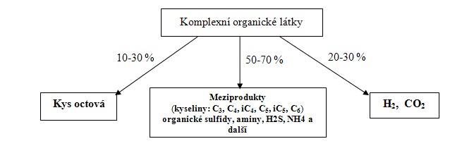 Schéma toku uhlíku při inhibici nebo nepřítomnost metanogénů