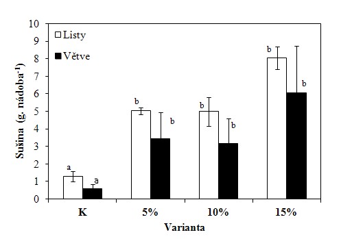 Výnos biomasy vrb pěstovaných na extrémně kontaminované půdě bez (K) a s aplikovaným biouhlem (5, 10 a 15 %)