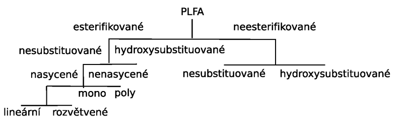 Rozdělení fosfolipidových mastných kyselin (PLFA)