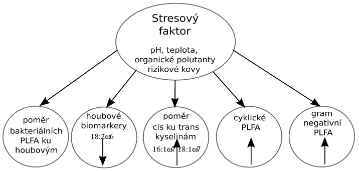 Změny ve struktuře PLFA indukované vlivem různých stresových faktorů