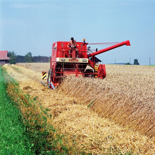 ilustrační foto - kapalná biopaliva