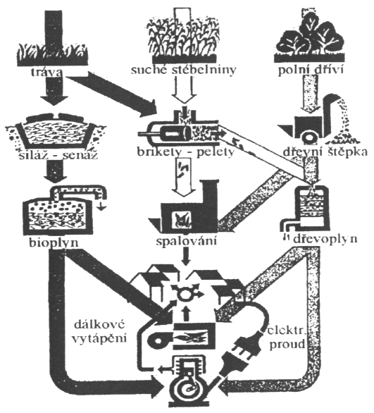 Základní směry zpracování biomasy a energetické využití