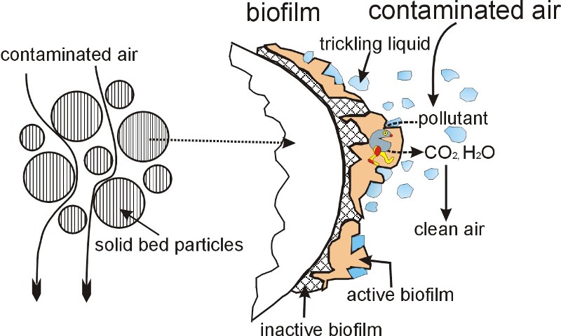 Schéma rozkladu kontaminantů na povrchu částic pevného lože biofiltru