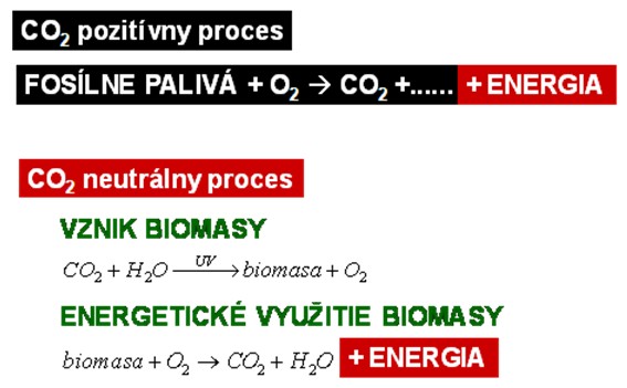 Perspektívně je u nás najvetším producentom biomasy polnohospodárstvo