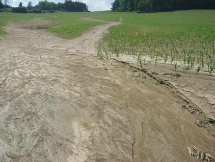 Eroze půdy na kukuřičném poli po přívalovém dešti, dne 9.6.