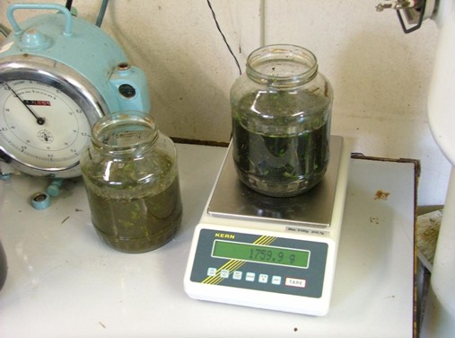 Příprava vzorků pro anaerobní digesci, úprava sušiny a pH