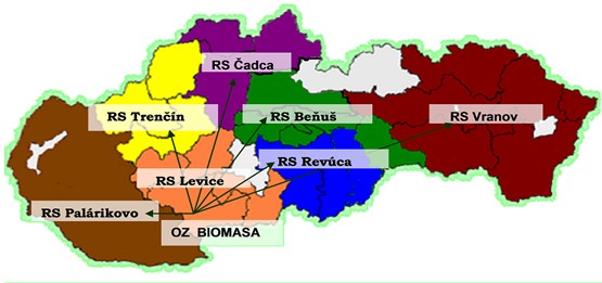 Organizačná schéma Odštepného závodu Biomasa