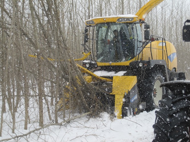 Řezačka NewHolland zvládne naštěpkovat až patnáctimetrové kmínky