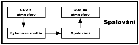 Toky uhlíku při spalování biologicky rozložitelných odpadů (Smith et al. 2001)