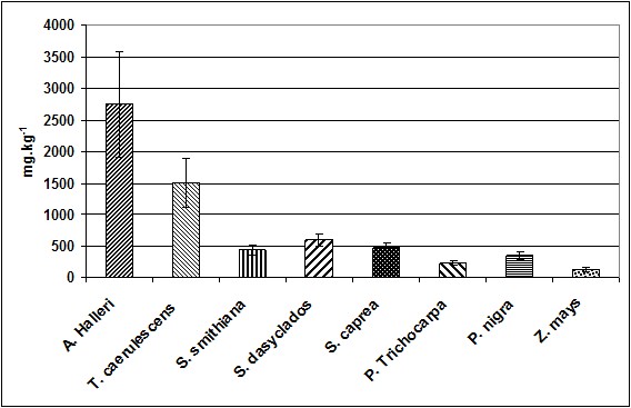 Průměrné obsahy zinku mg.kg-1 v nadzemní biomase rostlin