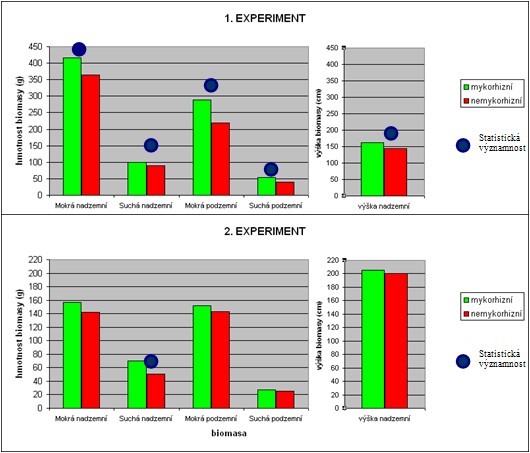 Rozdíly průměrných hodnot v parametrech biomasy nadzemních a podzemních částí