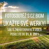 ilustrační foto
