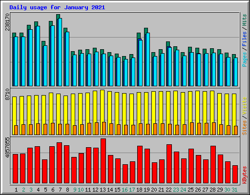 Daily usage for January 2021