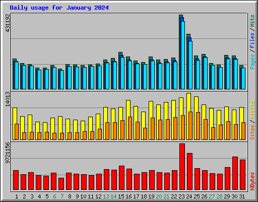 Daily usage for January 2024