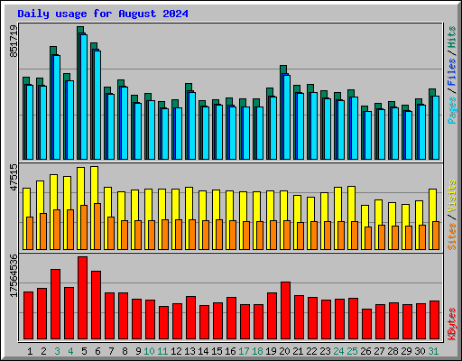 Daily usage for August 2024