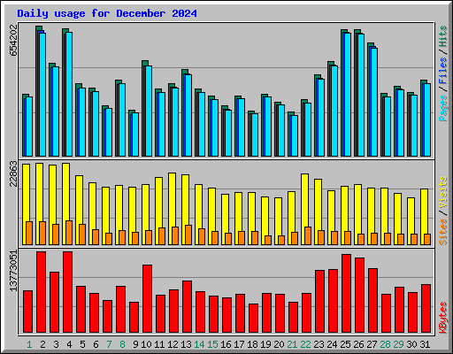 Daily usage for December 2024