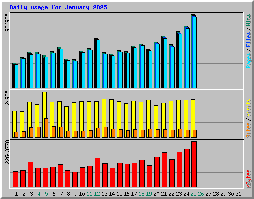 Daily usage for January 2025