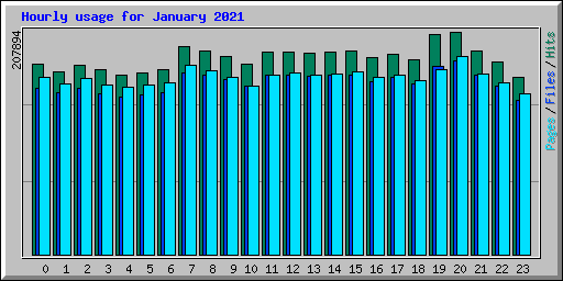 Hourly usage for January 2021