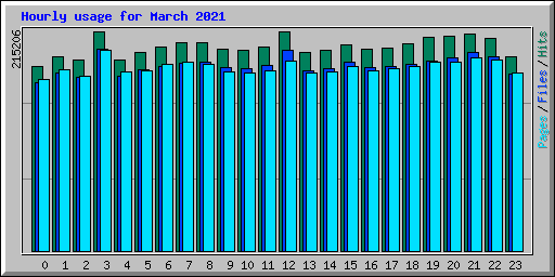 Hourly usage for March 2021