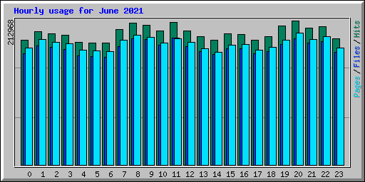 Hourly usage for June 2021