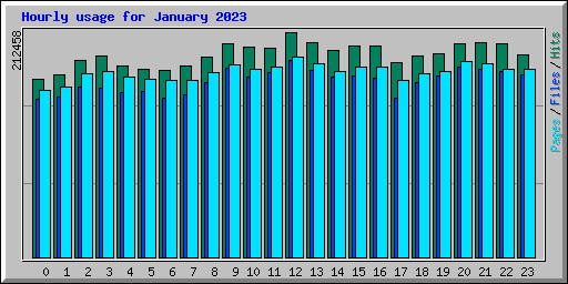 Hourly usage for January 2023