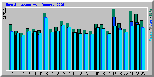 Hourly usage for August 2023