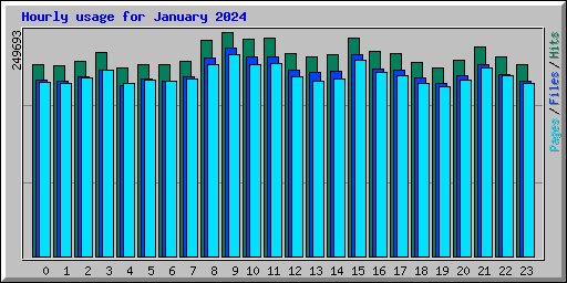 Hourly usage for January 2024