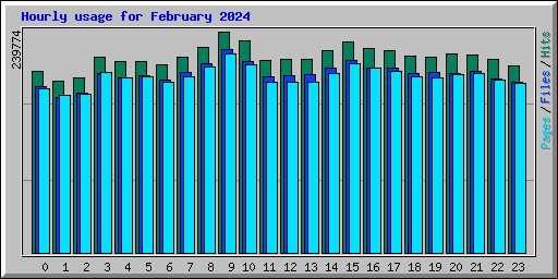 Hourly usage for February 2024