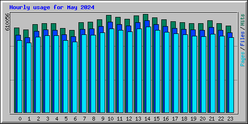 Hourly usage for May 2024