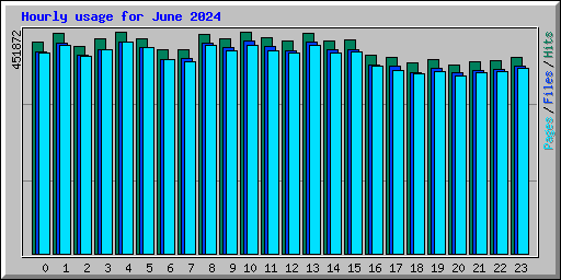 Hourly usage for June 2024