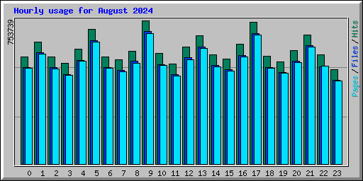 Hourly usage for August 2024