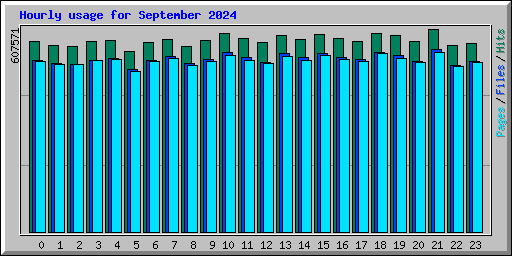 Hourly usage for September 2024