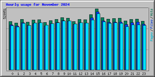 Hourly usage for November 2024