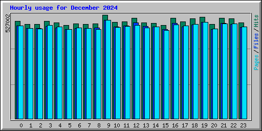 Hourly usage for December 2024