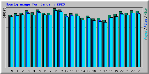 Hourly usage for January 2025