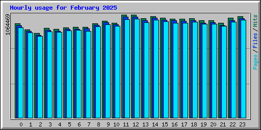 Hourly usage for February 2025