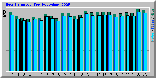 Hourly usage for November 2025
