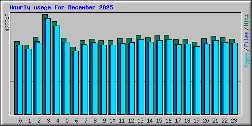 Hourly usage for December 2025