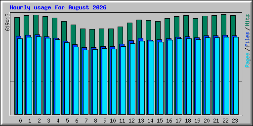 Hourly usage for August 2026